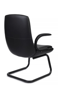 Кресло Данте-СФ C2561-12