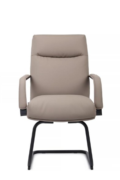 Кресло Отто RCH CV-P001BS